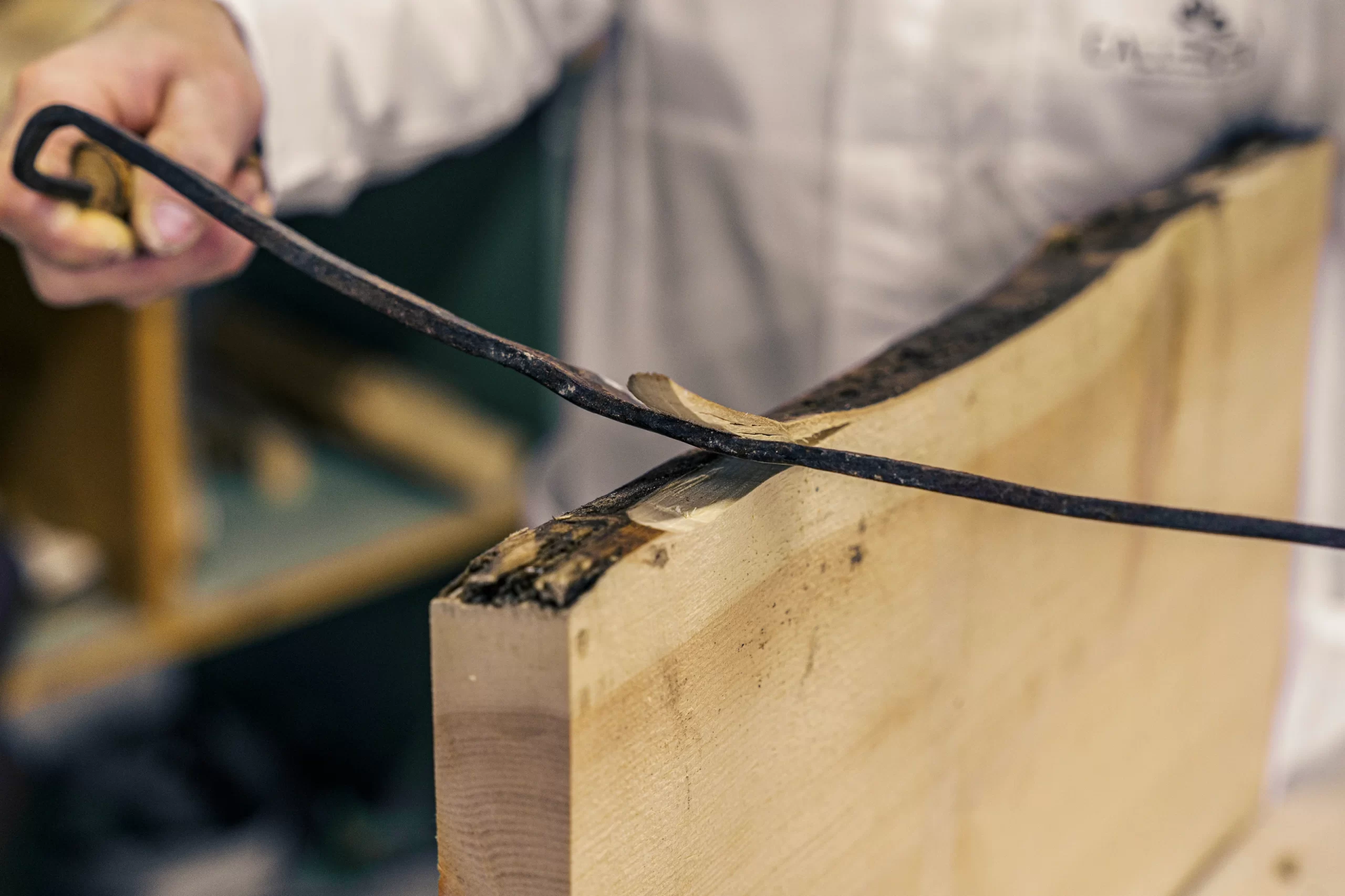 Il legno si sente